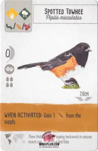 Wingspan Card - Spotted Towhee