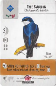 Wingspan Card - Tree Swallow