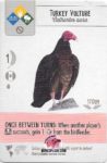 Wingspan Pink Powers - Turkey Vulture