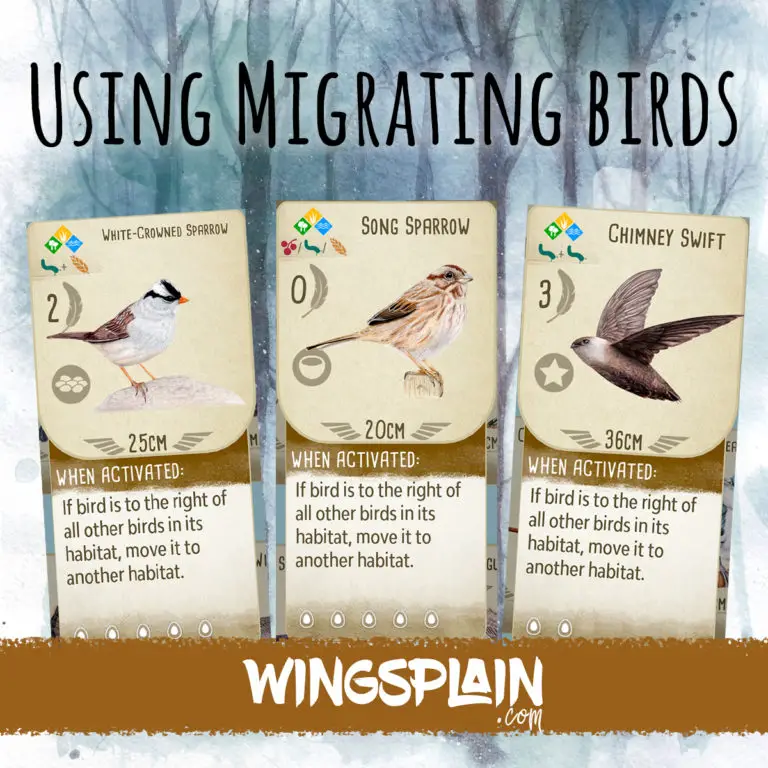 Using Migrating Birds in Wingspan Board Game - Wingspan Strategy