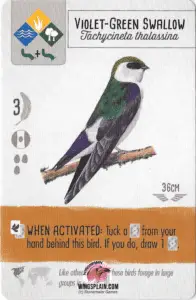 Wingspan Card - Violet-Green Swallow