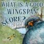 What is a good wingspan score