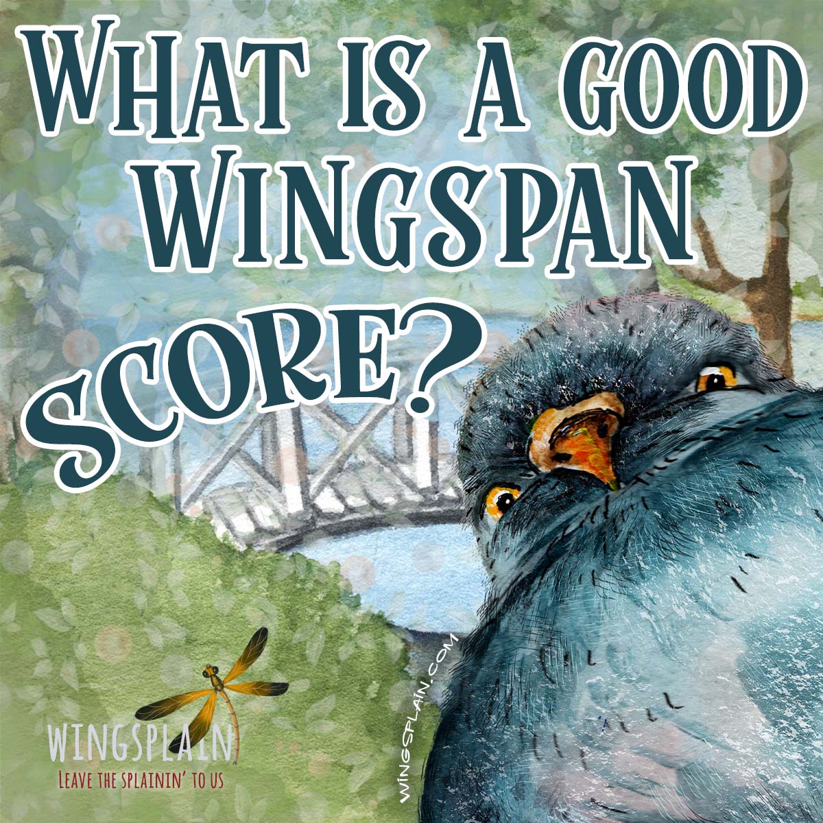 5 Factors That Determine a Good Wingspan Score • Wingsplain
