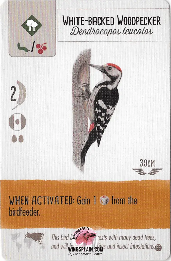 Wingspan Cards - White-Backed Woodpecker