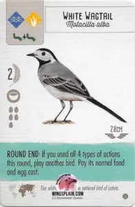 Wingspan Teal Powers Card - White Wagtail