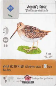 Wingspan Card - Wilson's Snipe