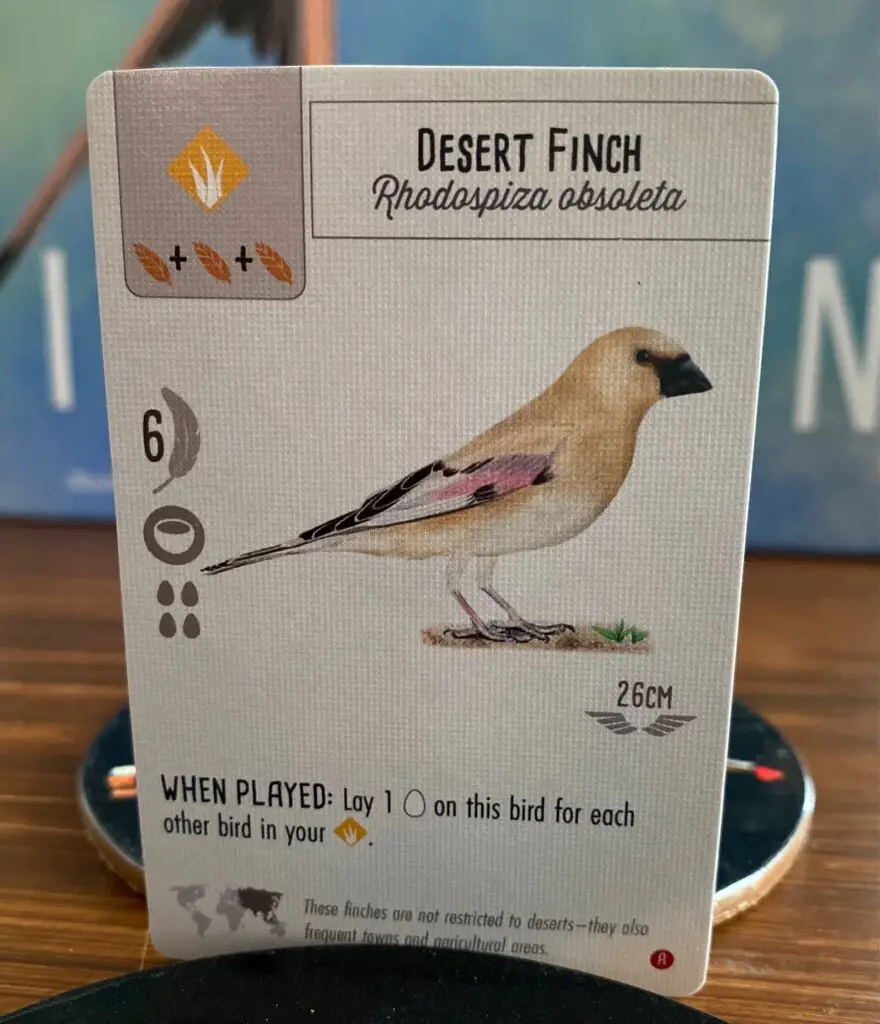 Wingspan Asia Desert Finch