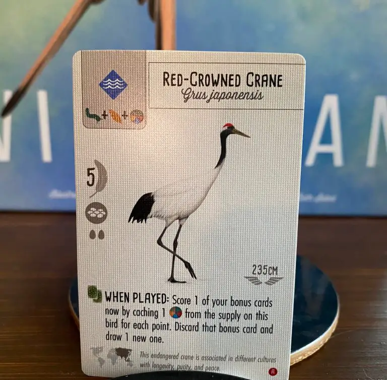 Wingspan Asia Red Crowned Crane