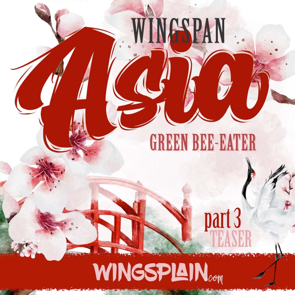 Wingspan Asian Expansion Announcement - Green Bee-Eater
