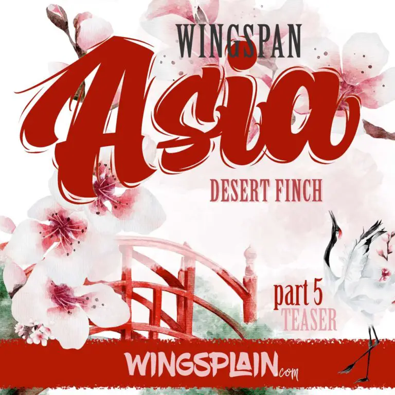 Wingspan Asian Expansion Card Announcement - Desert Finch