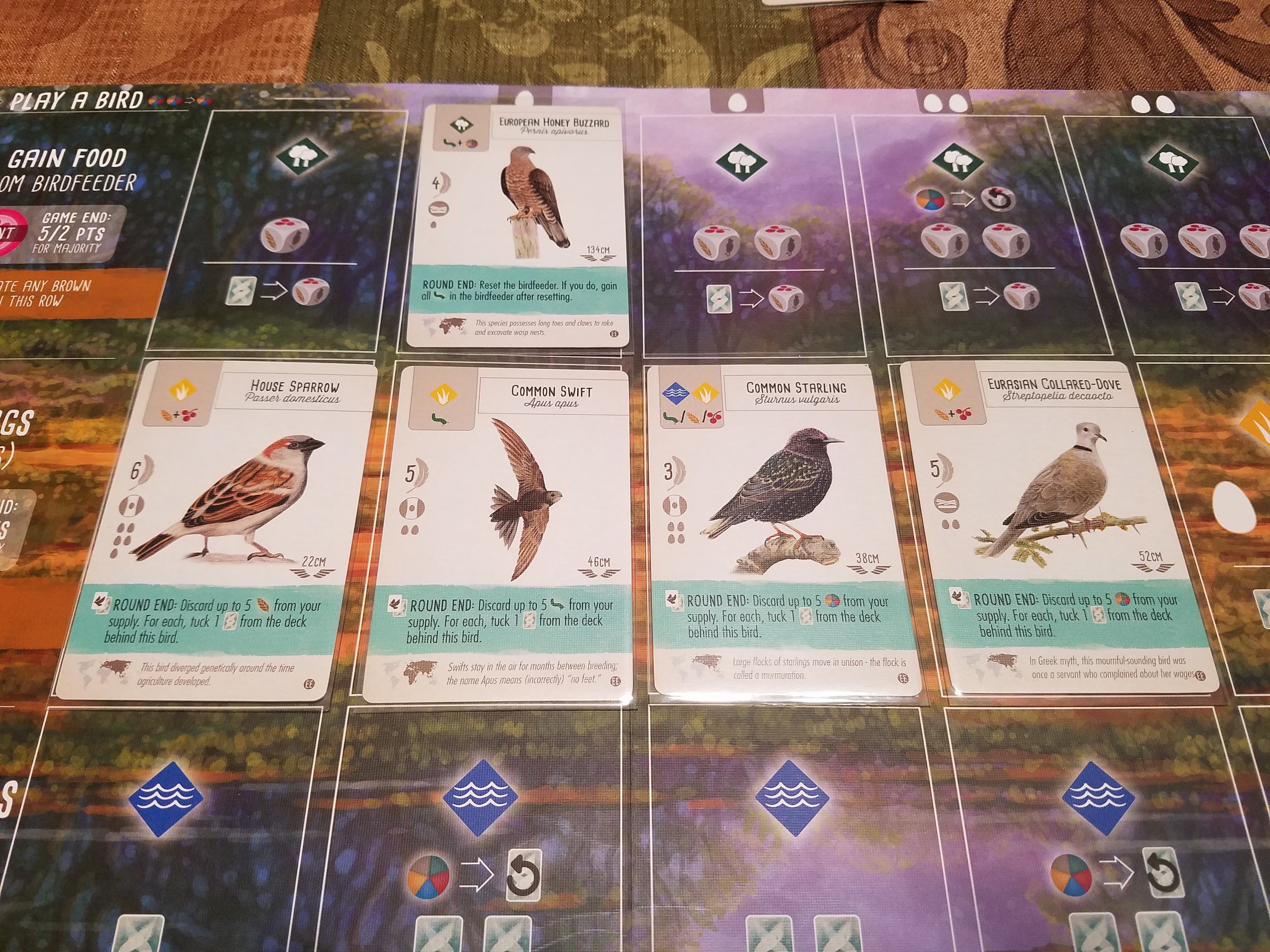 Wingspan Discard Food to Tuck: Buzzard Sparrow Swift Starling Dove