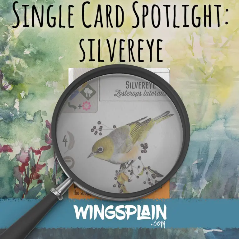 Wingspan Card Spotlight - Silvereye