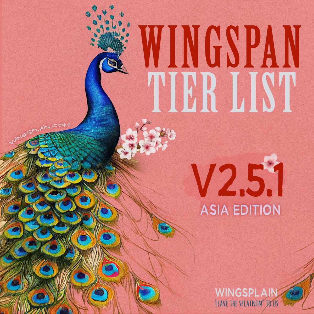 The Definitive Wingspan Buyers Guide • Wingsplain