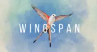 Wingspan on Steam - Digital Edition