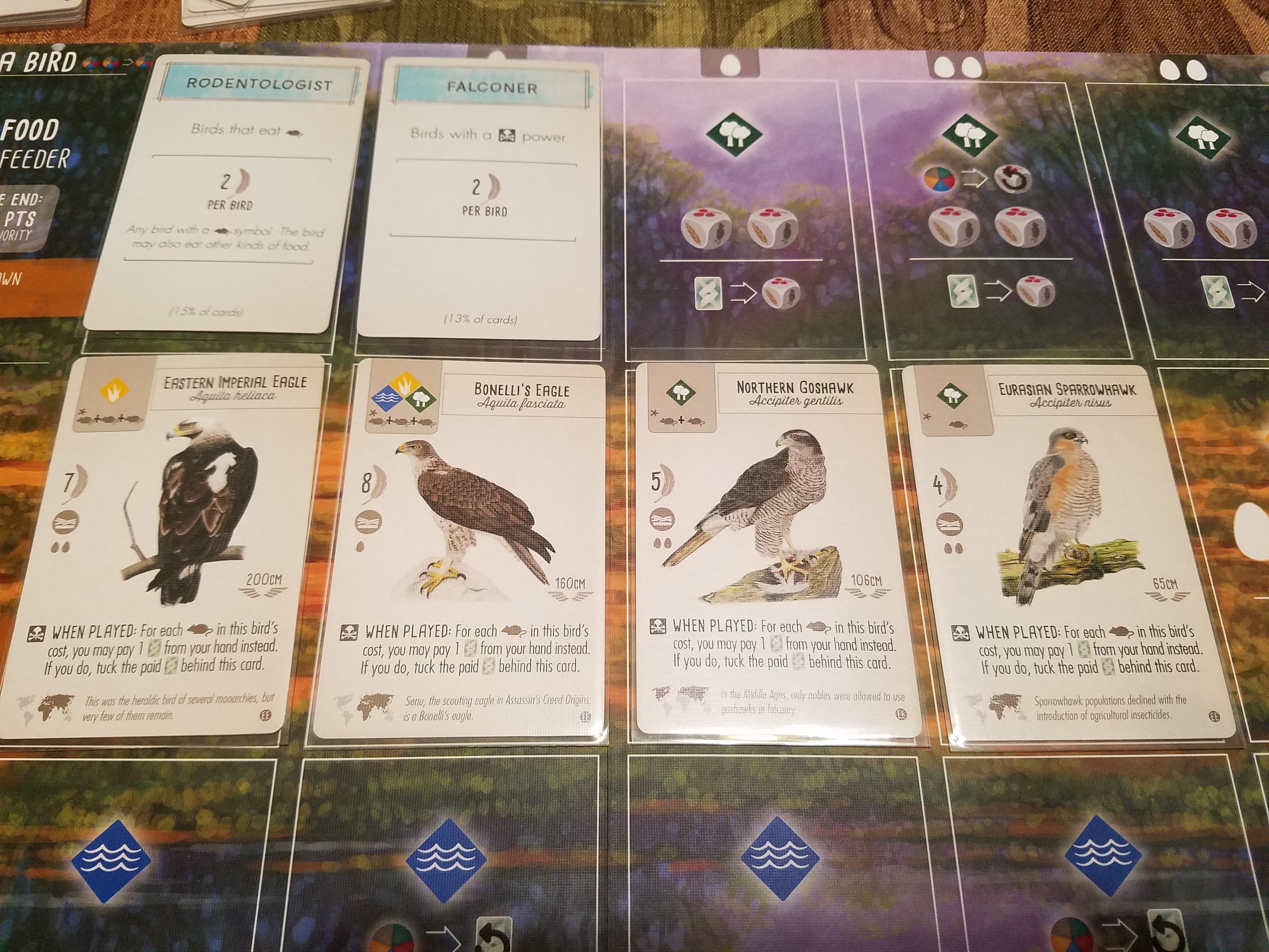 Wingspan Tuck to Play: Eagle Goshawk Sparrowhawk