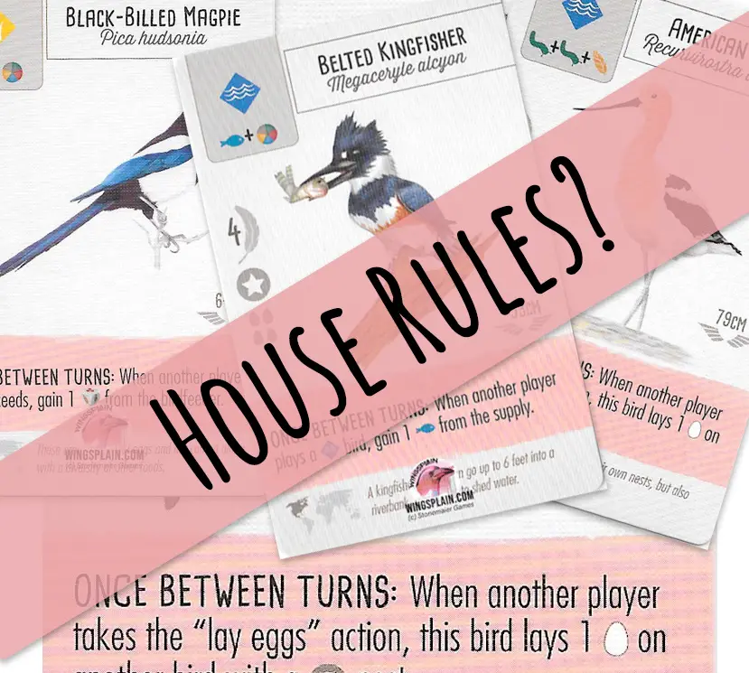 Top 18 Wingspan House Rules Ready to Ruffle Some Feathers? • Wingsplain