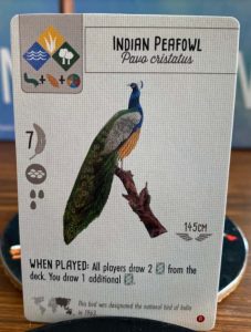 Wingspan Game - Indian Peafowl Reveal