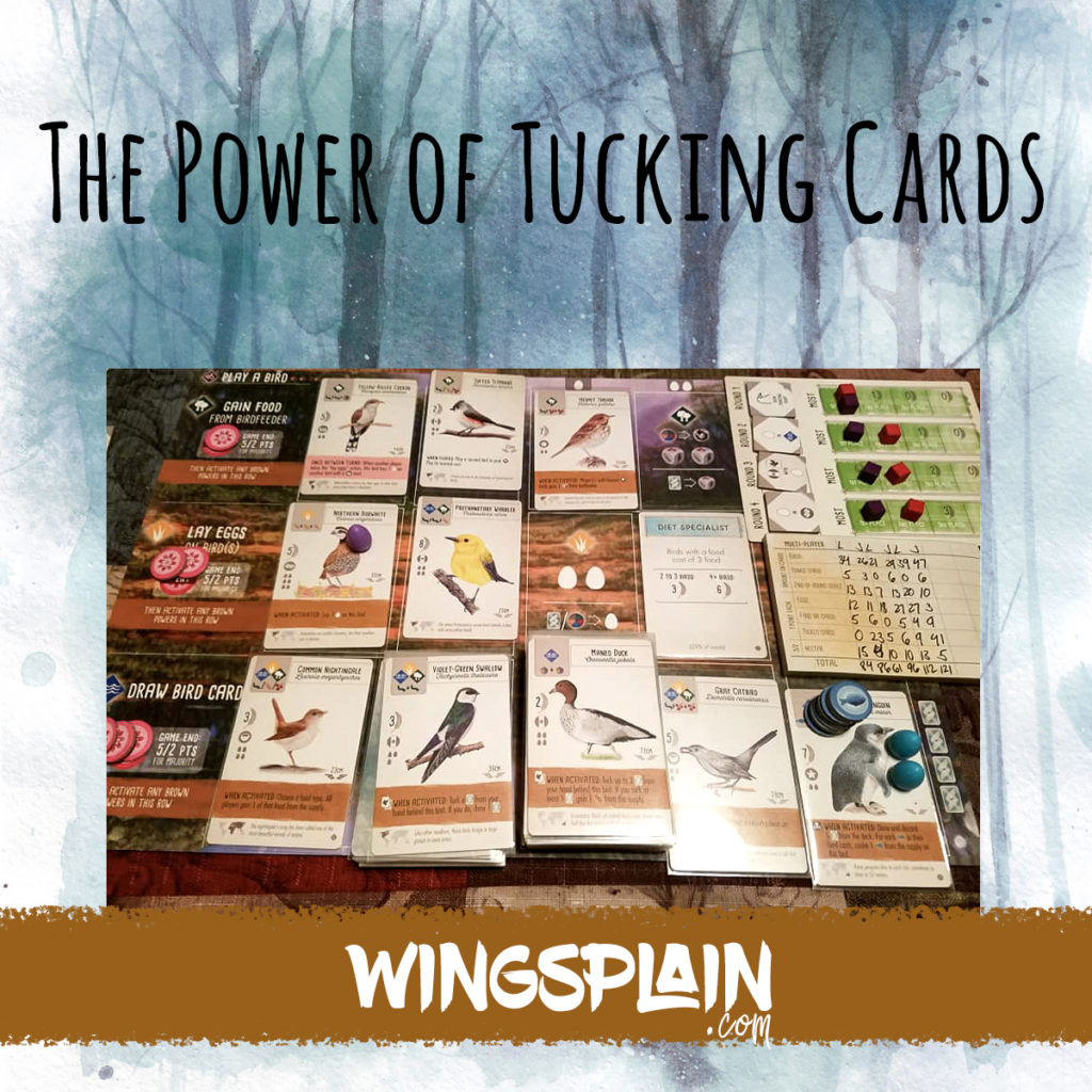 The Power of Tucking Cards in Wingspan