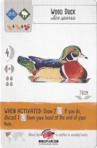 Wingspan Card - Wood Duck