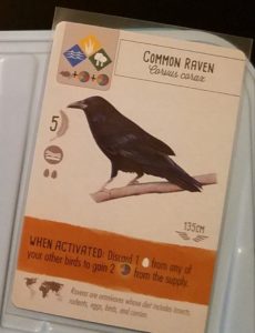Common Raven - Wingspan Board Game